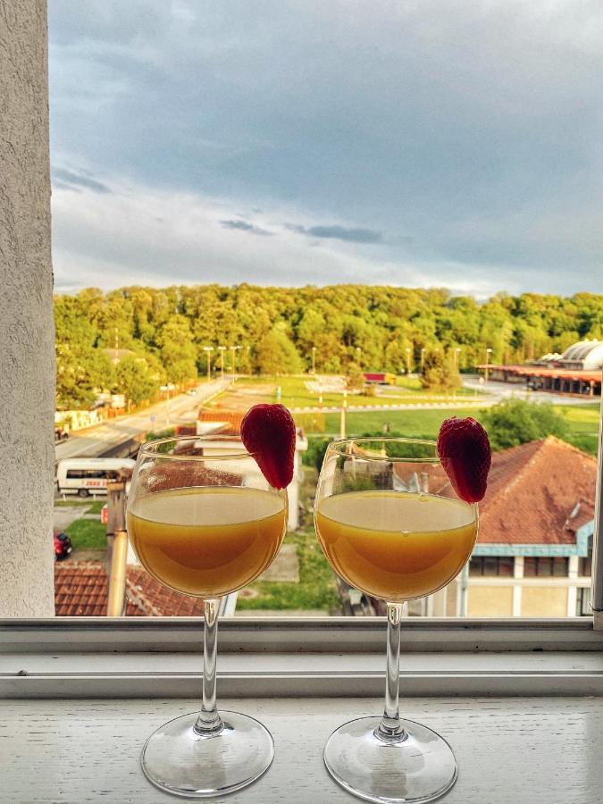 Apartmani Banja Spa Vrnjačka Banja Εξωτερικό φωτογραφία