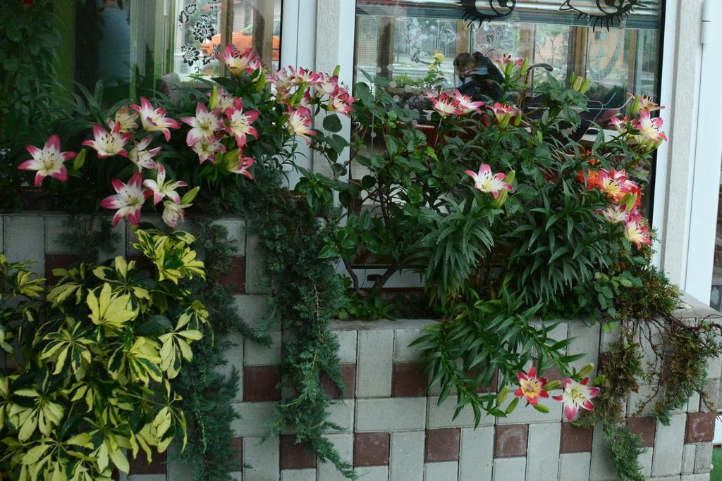 Apartmani Banja Spa Vrnjačka Banja Εξωτερικό φωτογραφία